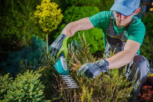 landscaping services Portland